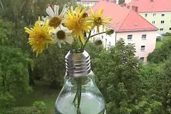 Blumenvase aus Gl&uuml;hbirne selber machen