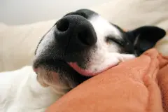 Was tun gegen Schnarchen?