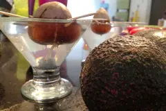 Avocadopflanze ziehen