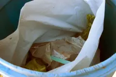 Maden und M&uuml;lltonnen im Sommer