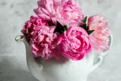 Unbenutzte Kaffeekanne als Gie&szlig;kanne