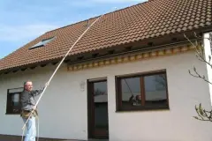 Moos, Flechten und Algen von Dach und Fassade entfernen