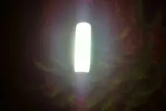 Zu viele Spinnen im Haus - Spinnen fernhalten