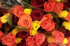 Schnittblumen l&auml;nger frisch halten - was hilft wirklich?