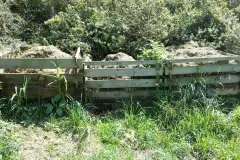 Kompost anlegen: richtig kompostieren