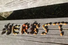 Basteln mit Naturmaterialien ohne Tierchen