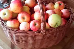 Sehr leckeres selbstgemachtes Apfelmus