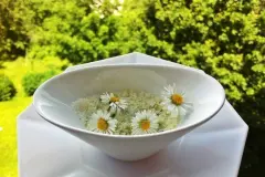 G&auml;nsebl&uuml;mchen-Zucker herstellen