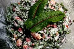 Blut-Sauerampfer-Salat &ndash; frisch und fruchtig