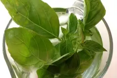 Basilikumwasser - ein Gedicht