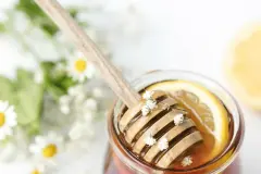 G&auml;nsebl&uuml;mchen-Sirup - k&ouml;stlich und sehr gesund!