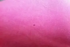 Kleine L&ouml;cher in der Kleidung verhindern