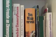Ausgeliehene B&uuml;cher, die mit Sicherheit zur&uuml;ck zum Besitzer finden