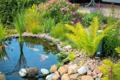 Gartenteich reinigen - bitte Teichlebewesen ber&uuml;cksichtigen