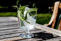 Trendgetr&auml;nk Gin selber machen