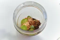 Verdauung f&ouml;rdern mit Smoothies