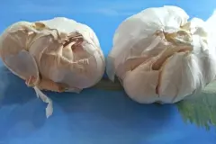 SOS Tipps gegen Knoblauchgeruch