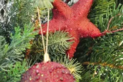 Kleiner Tipp f&uuml;r den schmalen Geldbeutel zu Weihnachten