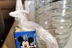 Obst- und Gem&uuml;set&uuml;ten immer in der Handtasche dabei haben