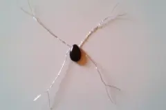 Die beiden Dr&auml;hte, die zusammenstehen, werden jeweils ineinander gedreht bis ca. 2 cm vor dem Ende. 
