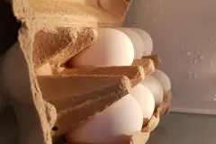 So sitzt das Eigelb nach dem Kochen in der Mitte