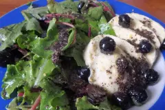 Wildsalat mit Mozzarella, Blaubeeren und Mohndressing