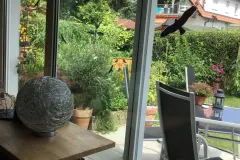 Gro&szlig;e Fensterfl&auml;chen reinigen, fast ohne B&uuml;cken