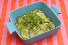 Schnellgurken oder Sch&uuml;ttelgurken - Grundrezept