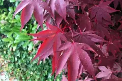 Habt ihr das gewusst? 10 Fakten zum Herbst