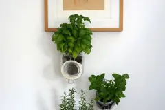 Kr&auml;utergarten im Einweckglas