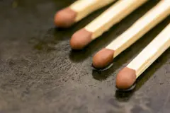 Streichh&ouml;lzer gegen Trauerm&uuml;cken in Blument&ouml;pfen