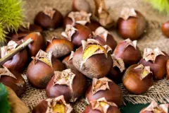 Maronen aus dem Airfryer