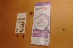 Lebensmittelmotten bemerken und bek&auml;mpfen