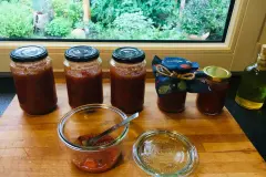 Tomaten-Paprika-Chutney - sehr scharf!