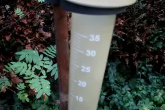 Richtiges Bew&auml;ssern des Gartens bei hochsommerlichen Temperaturen