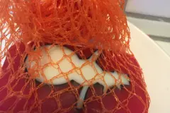 Handseife im Obst- oder Gem&uuml;senetz verwenden - wunderbarer Schaum