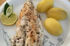 Fisch fettarm braten