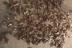 Low Carb M&uuml;sli als gesundes Naschwerk