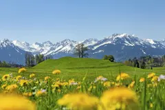 Das wundersch&ouml;ne Allg&auml;u im #ReiseMontag