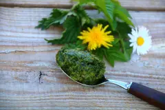Wildkr&auml;uter-Pesto a la Silva