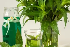 Minze-Konzentrat herstellen