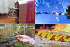 Herkunft und Geschichte von Redewendungen #FunFriday