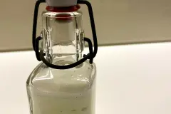 Aloe Vera-Gel selbst gewinnen Schritt f&uuml;r Schritt