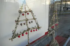 Jetzt schon an Weihnachtsdeko aus der Natur denken