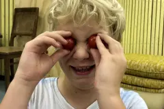 Wer redensartlich Tomaten auf den Augen hat, der &uuml;bersieht etwas oder bemerkt etwas nicht. W&uuml;rde man wirklich mit zwei Tomaten vor dem Gesicht herumlaufen, w&auml;re es wahrscheinlich tats&auml;chlich schwierig, noch gen&uuml;gend zu sehen.