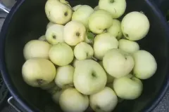 Der Klarapfel - Herkunft und Verwendung