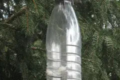 DIY-Futterstelle f&uuml;r Gartenv&ouml;gel aus einer Einwegflasche