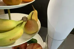 Fruchtfliegen lebend fangen