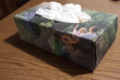 Plastiktaschen und Schn&uuml;re in Taschentuch-Box aufbewahren