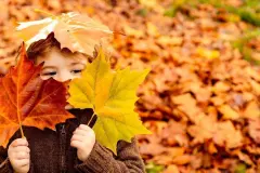Laub selber kompostieren - in 4 Schritten